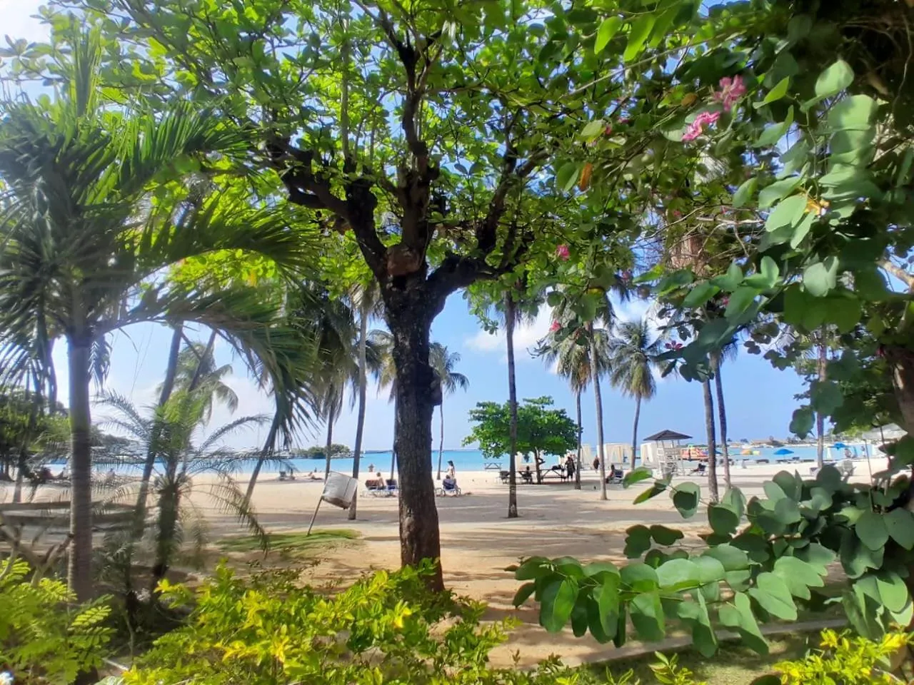 Beach Studio 27 Ocho Rios Appartamento